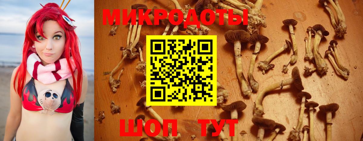 Белово  Псилоцибиновые грибы Psilocybe  Псилоцибиновые грибы ЛСД  магазин  наркотиков  Вход с VPN 